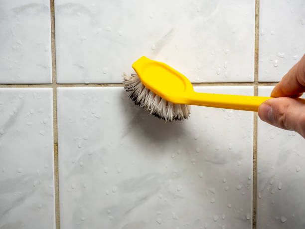 Best Mold Remediation Services  in Malta, IL