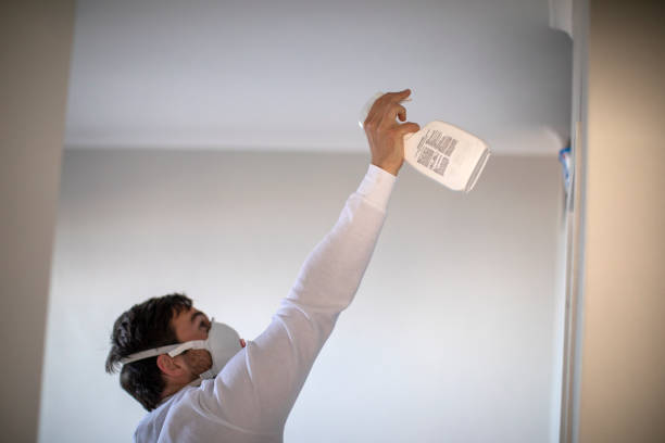 Best Mold Testing and Removal  in Malta, IL