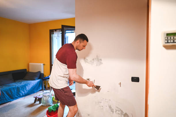 Best Fast Mold Removal  in Malta, IL
